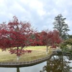 【久しぶりの】