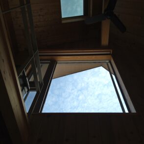 【見上げると…】